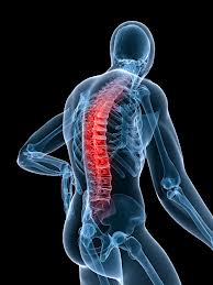 spinal.jpg